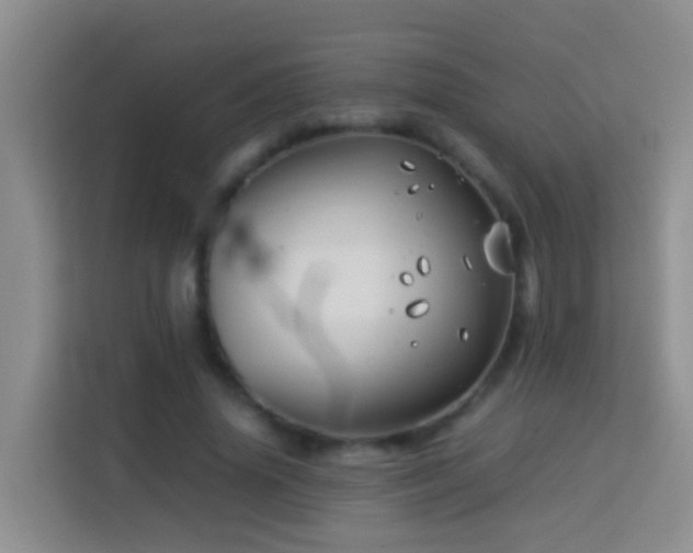 X0000114140636200910081305