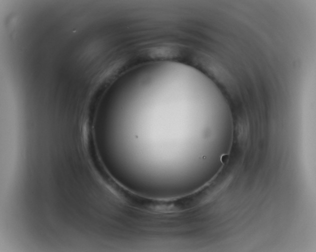 X0000114140637200910081305