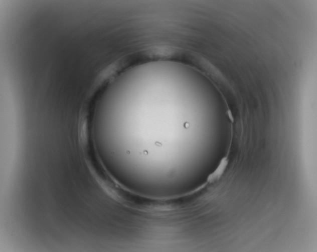 X0000114140638200910081305