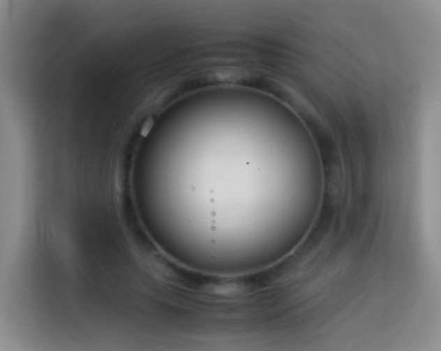 X0000114140639200910081305