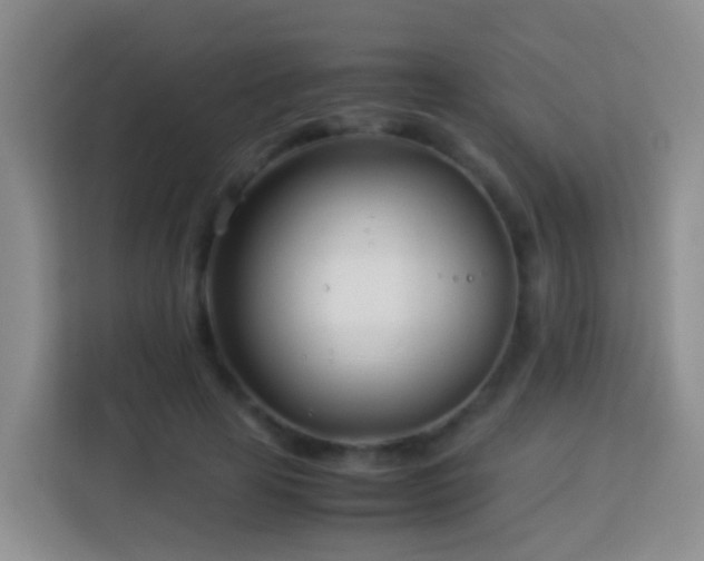 X0000114140641200910081305