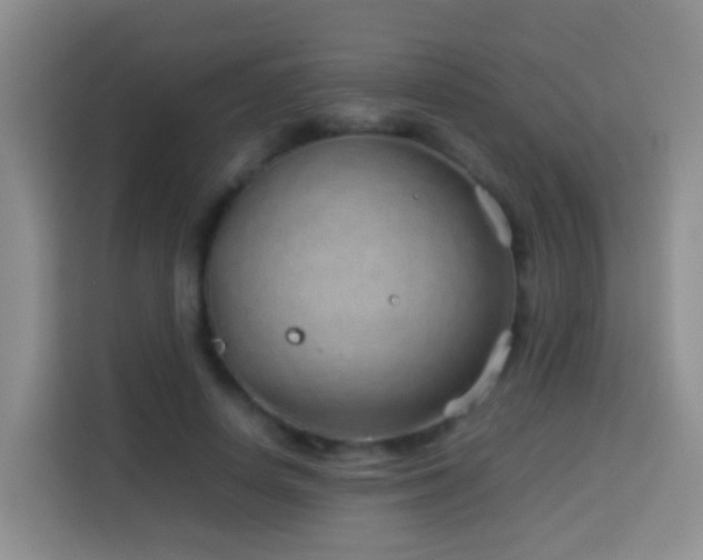 X0000114140642200910081306