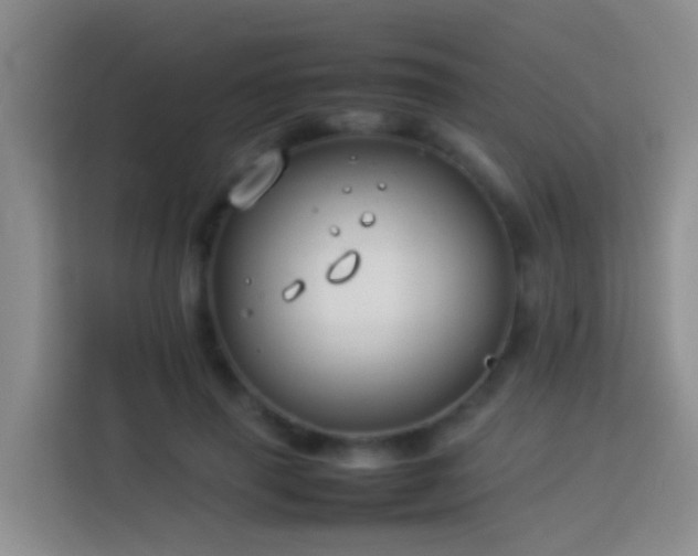 X0000114140645200910081306