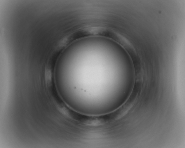 X0000114140646200910081306