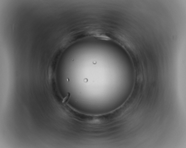 X0000114140647200910081306