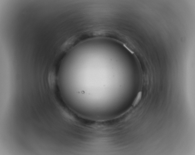 X0000114140648200910081306