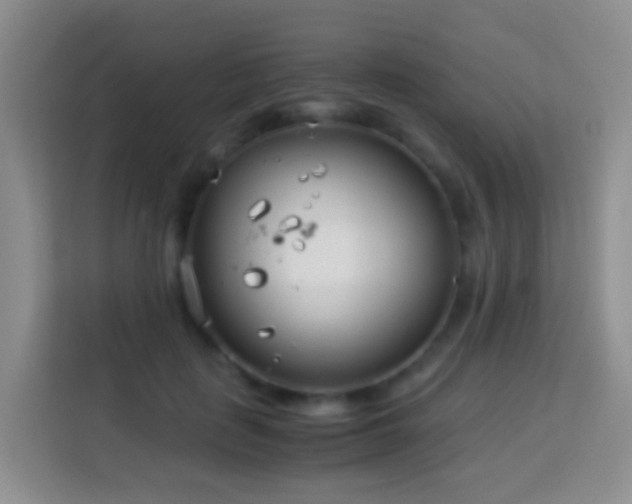 X0000114140651200910081306