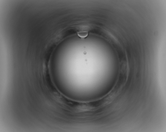 X0000114140655200910081306