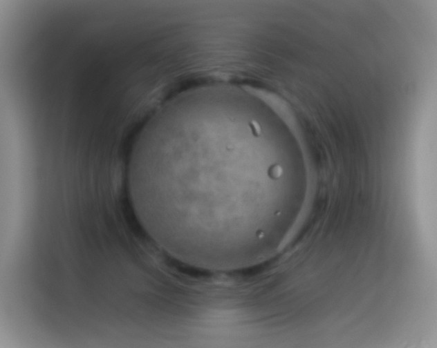 X0000114140656200910081306