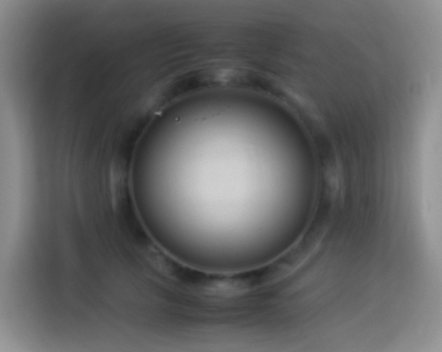 X0000114140657200910081306