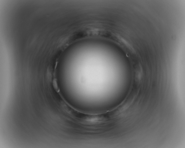 X0000114140661200910081306