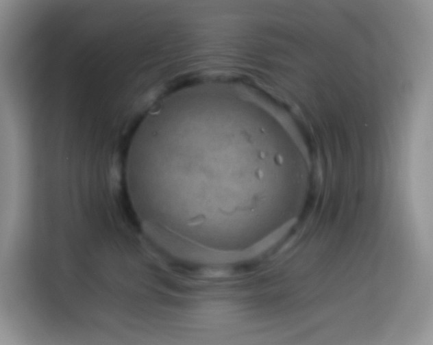 X0000114140668200910081306