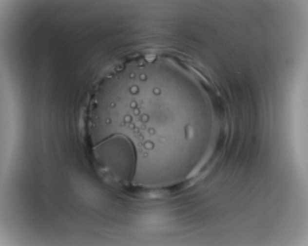 X0000114140670200910081306