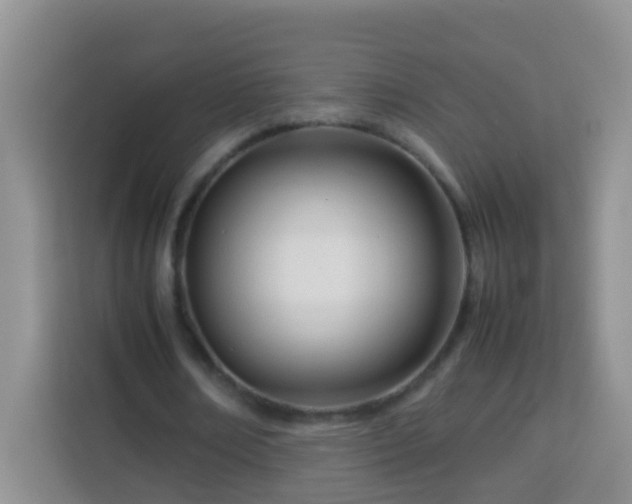 X0000114140674200910081305