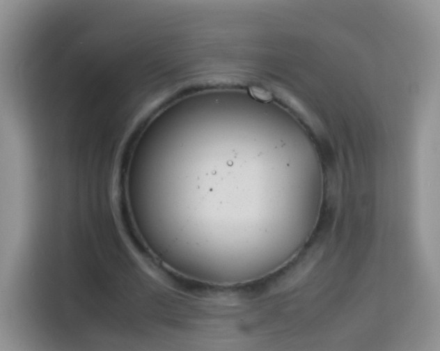 X0000114140677200910081305