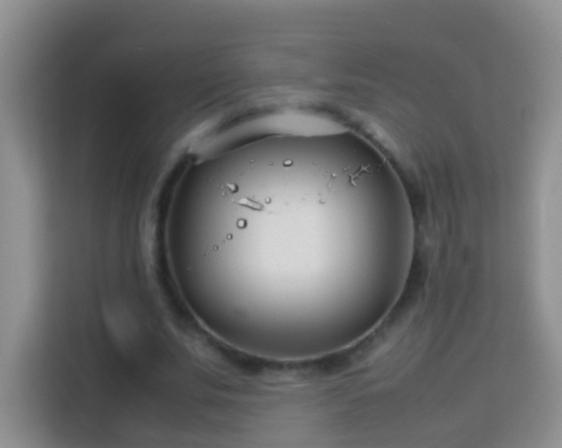 X0000114140679200910081305