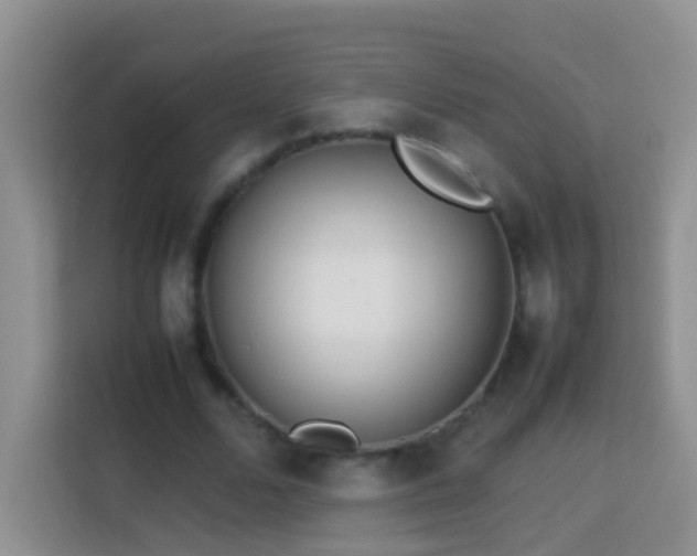 X0000114140680200910081305