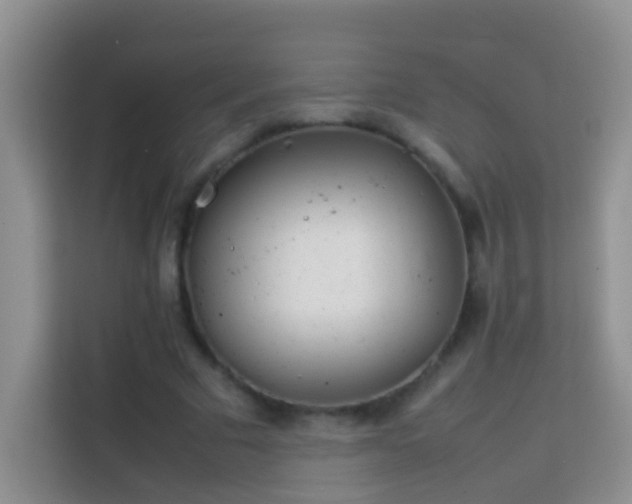 X0000114140681200910081305