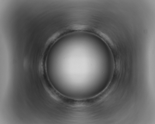 X0000114140682200910081305