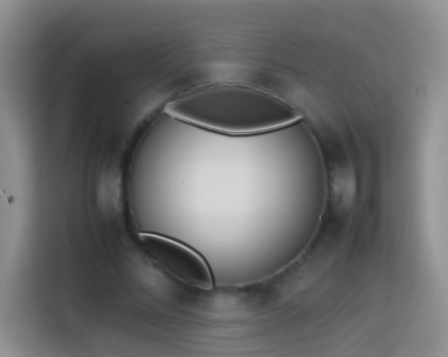 X0000114140684200910081305