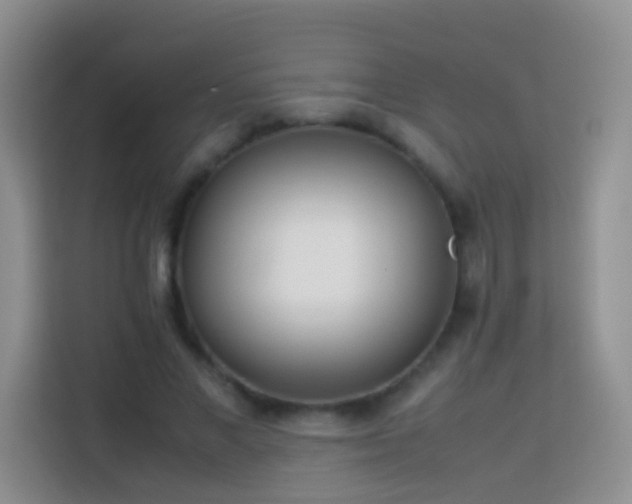 X0000114140685200910081305