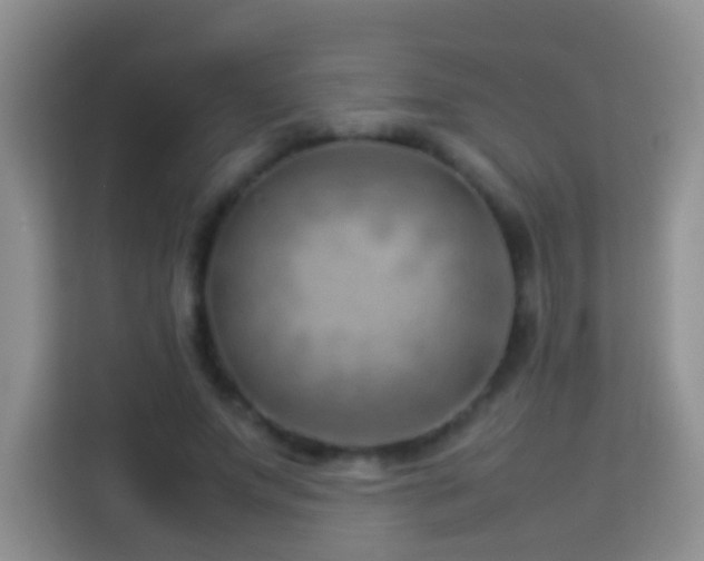 X0000114140687200910081305