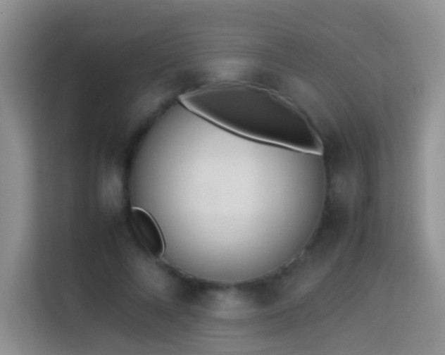 X0000114140688200910081305