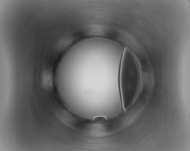 X0000114140692200910081305