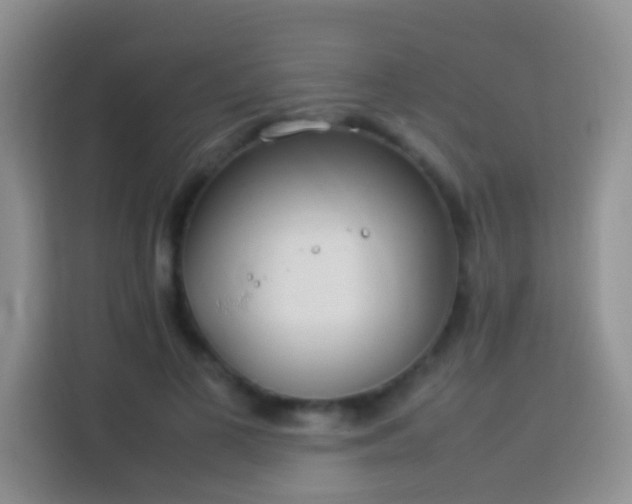 X0000114140693200910081305