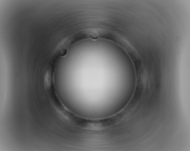 X0000114140694200910081305