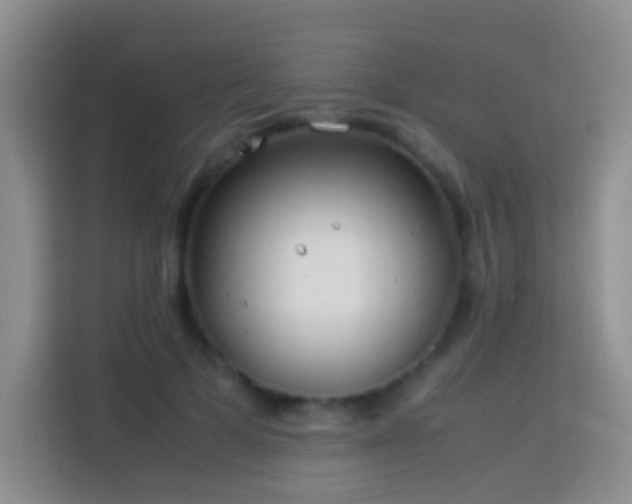 X0000114140697200910081305