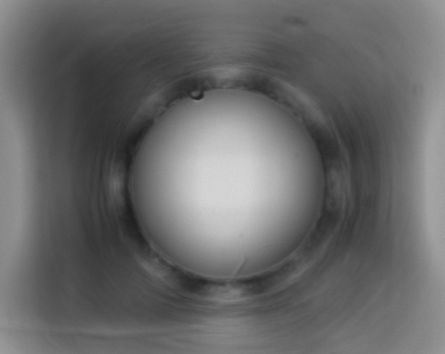 X0000114140698200910081305