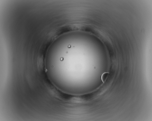 X0000114140699200910081305