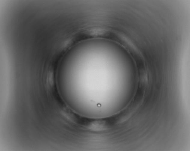 X0000114140700200910081305