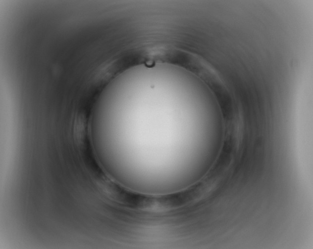 X0000114140702200910081305