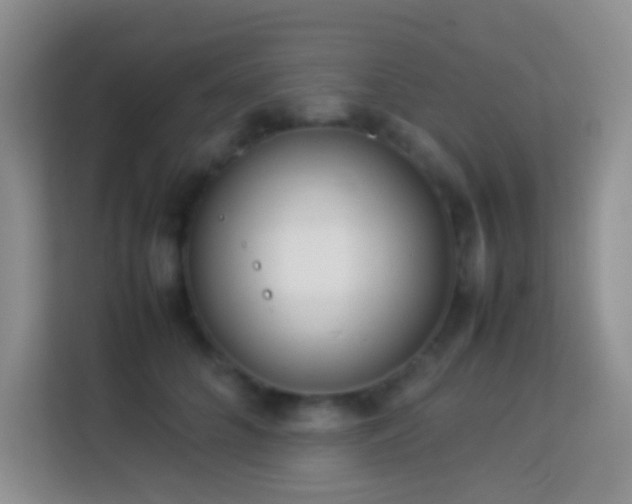 X0000114140704200910081305