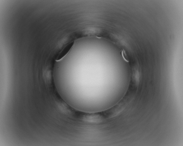 X0000114140716200910081305