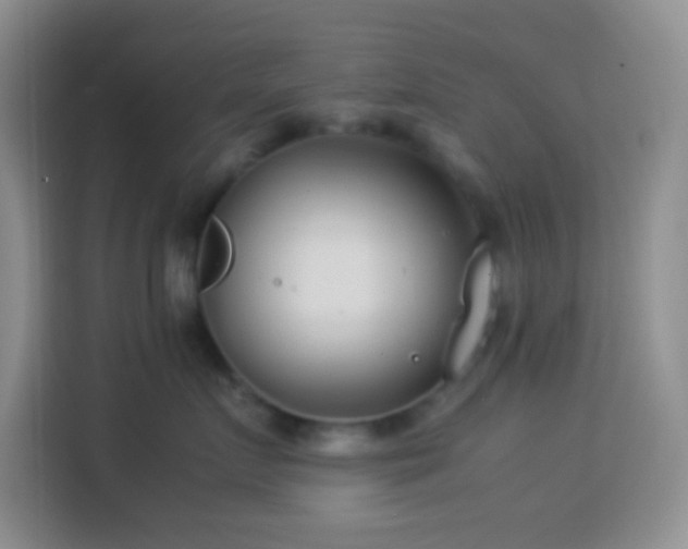 X0000114140719200910081305