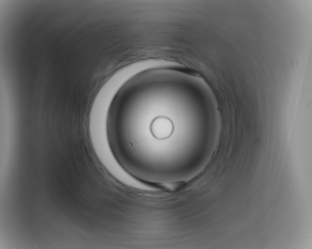 X0000114140720200910081305