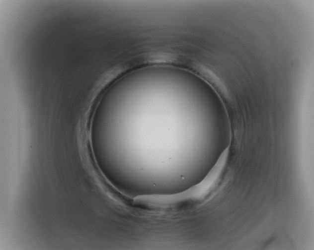 X0000114140721200910081304