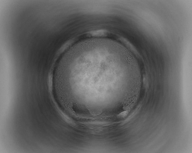 X0000114140725200910081304