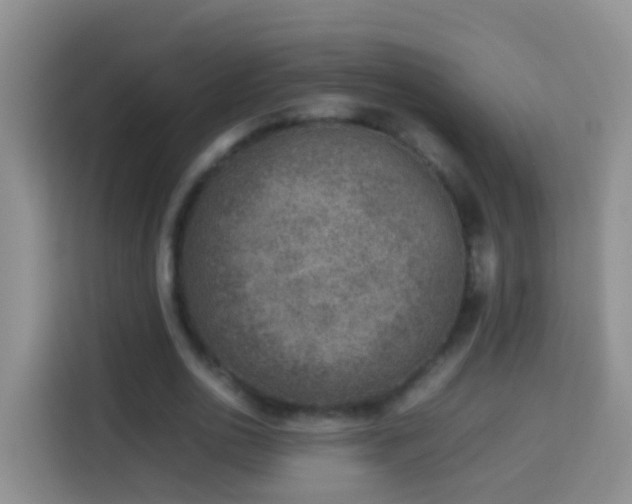 X0000114140726200910081304