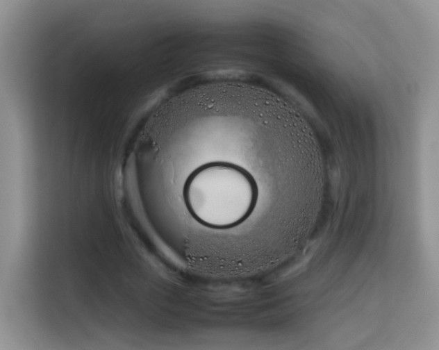 X0000114140729200910081304