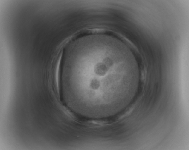 X0000114140733200910081304