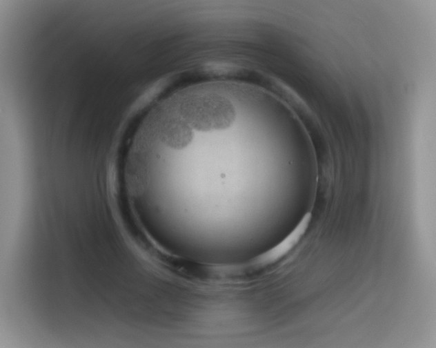 X0000114140734200910081304