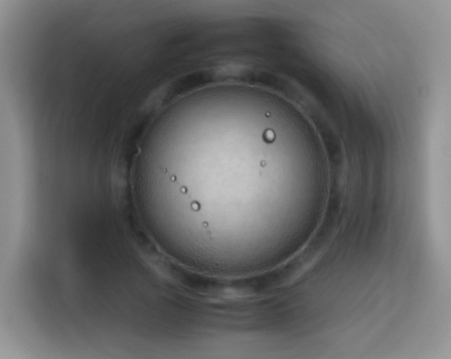 X0000114140737200910081304