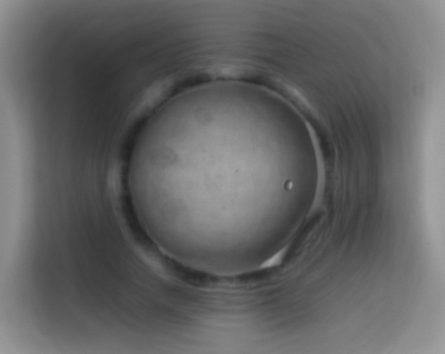 X0000114140738200910081304