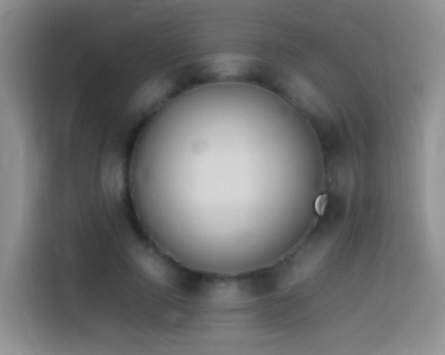 X0000114140740200910081304