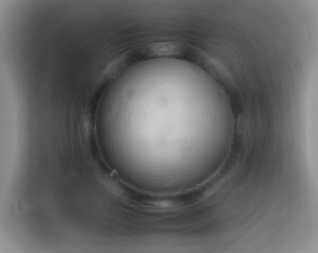 X0000114140741200910081304