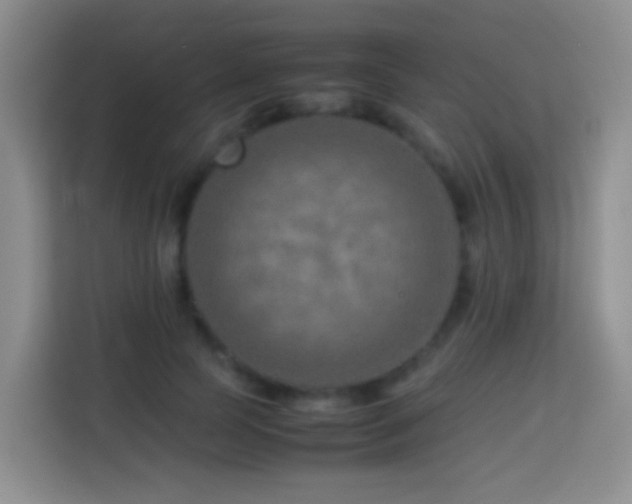 X0000114140745200910081304